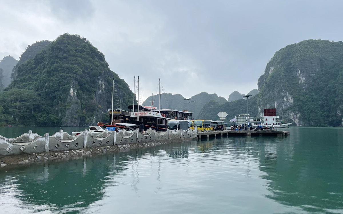 Cát Bà Nature
